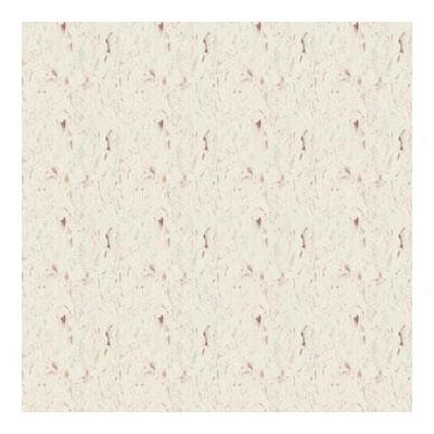 Tarkett Vinyl Composittion Tile - Standard Expressions 1319 Vinyl Flooring