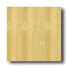 Teragren Spectrum Flat Natural Bamboo Flooring