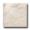 Tesoro Amalfi 12 X 12 Perla Tile & Stone