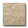 Tesoro Amalfi 8 X 12 Noce Tile & Stone