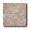 Tesoro Cerdomus Tuscany 13 X 20 Desert Tile & Stone