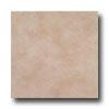 Tesoro Colorado 18 X 18 Noce Tile & Stone