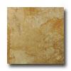 Twsoro Elegance 20 X 20 Noce Tile & Stone