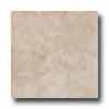 Tesoro Forum 20 X 20 Ivory Tile & Stone