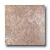 Tesoro Forum 20 X 20 Noce Tile & Stone