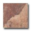 Tesoro Isla Coiosseum 13 X 13 Cotto Tile & Stone