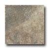 Tesoro Isla Colosseum 6.5 X 6.5 iVsone Tile & Stone