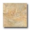 Tesoro Painted Desert 20 X 20 Verde Tile & Stone