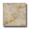 Tesoro Salus 20 X 20 Saturnia Beigs Tile & Stone