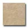 Tesoro Slate 18 X 18 Beige Tile & Stone