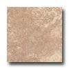 Tesoro Tivoli 6 X 6 Noce Tile & Stone