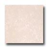 Tesoro Tivoli 8 X 12 Avori0 Tile & Free from ~s