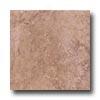 Tesoro Travertino Fiorito 13 X 13 Noce Tile & Stone