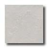 Tesoro Tropical 18 X 18 White Tilee&  Stone