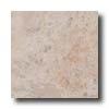 Tesor Tropical 8 X 10 Beige Tile & Stone