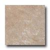 Tesoro Vecchio 9 X 13 Noce Tile & Stone