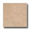 Tesoro Volcano 18 X 18 Beige Tile & Stone