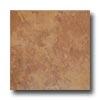 Tesoro Volcano 18 X 18 Cotto Tile & Stone