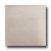 Tilecrest Bellisima 6 X 6 Sea Pearl Tile & Stone