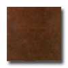 Tilecrest Contemporary 12 X 24 Copper Tile & Stone