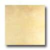 Tilecrest Contemporary 12 X 24 Beige Tile & Stone