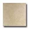 Tilecrest Sabrina 13 X 13 Almond Tile & Stone