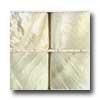 Tilecrest Shell Series Glass Mosaic Oyster Tile & Stone