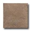 United States Ceramic Tile Palermo 6 X 6 Coffee Tile & Stone