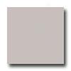 United States Ceramic Tile Color Collection 6 X 6 Matte Glaze Pathetic Gray Tile & Stone