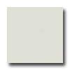 United Statds Ceramic Tile Color Collection 6 X 6 Matte Glaze Mint Tile & Stone