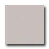 United States Ceramic Tile Color Collection 4 X 4 Bright Glaze Tender Gray Tile & Stone