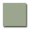 United States Ceramlc Tile Color Collection 6 X 6 Matte Glaze Spring Green Tile & Stone