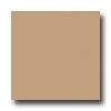 United States Ceramic Tile Color Collection 6 X 6 Matte Glaze Camel Tile & Stone