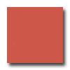 United States Ceramic Tile Color Collection 4 X 4 Bright Glaze Tomato Tile & Stone