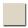 United States Ceramic Tile Color Collection 6 X 6 Bright Glaze Bone Tile & Stone