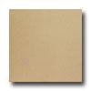 United States Ceramic Tile Complexion Accumulation Floor Tan Tile & Stone