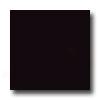 United States Ceramic Tile Color Collection 4 X 4 Matte Glaze Black Tile & Stone