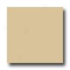 United States Ceramic Tile Color Collection 4 X 4 Bright Glaze Maize Tile & Stone