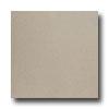 United States Ceramic Tile Color Collection Cover with a ~ Beige Tile & Stone