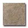 Unoted Statez Ceramoc Tile Tiburon 12 X 12 Moss Tile & Stone