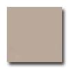 United States Ceramic Tile Color Collection 4 X 4 Bright Glaze Fawn Tile & Stone