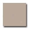 United States Ceramic Tile Hue Collection 6 X 6 Matte Glaze Fawn Tile & Stone