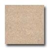 Wicanders Series 100 Personality With Wrt Champagne Cork Flooring