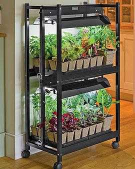 2-tier 2' Garden Starter Kit