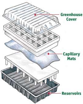 2 Aps Greenhouse Covers (fits Aps-12)