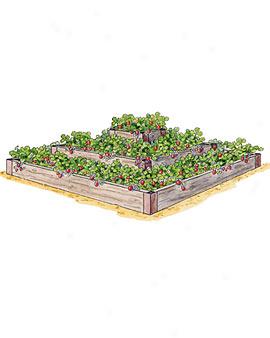 3-tier Strawberry Bed
