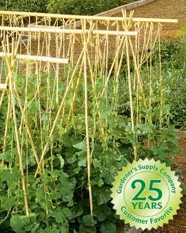 #6 Bamboo Poles, Set Of 50