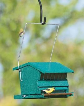 Absolute Squirrel-prooof Feeder