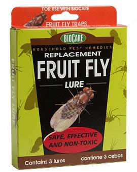 Additional Fruit Fly Lures, Set Of 3