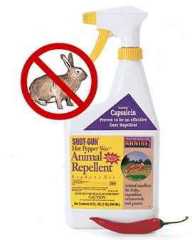 Animal Repellent Concentrate